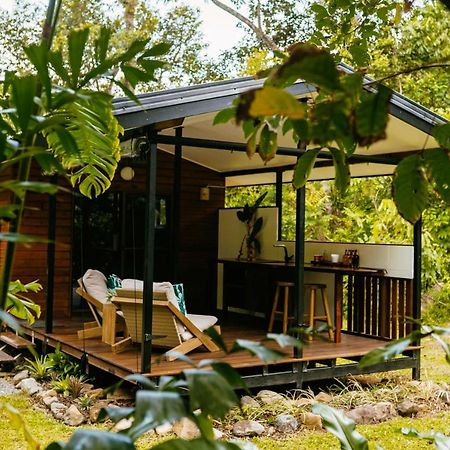 Cape Trib Farm Bed & Breakfast Cape Tribulation Bagian luar foto