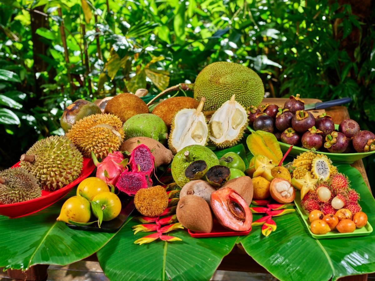 Cape Trib Farm Bed & Breakfast Cape Tribulation Bagian luar foto