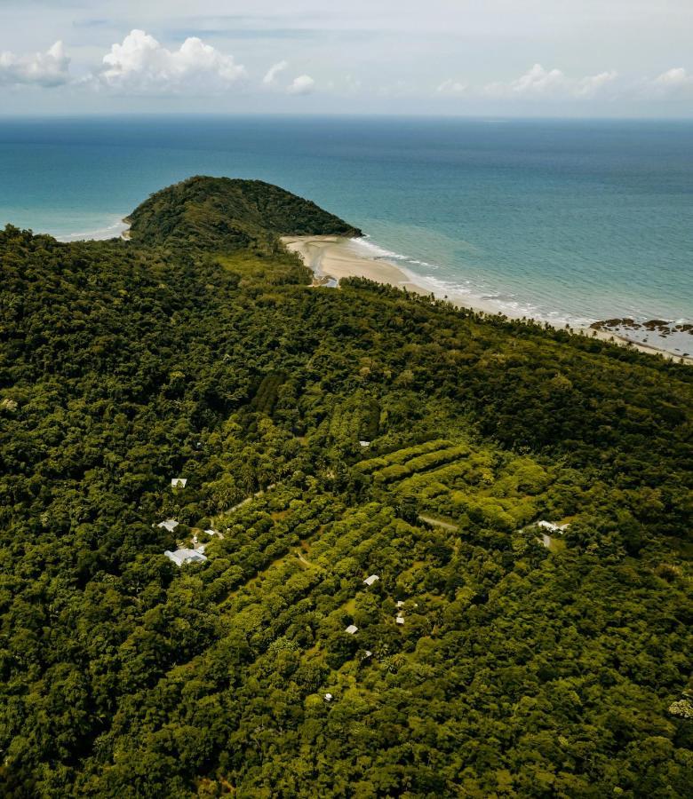 Cape Trib Farm Bed & Breakfast Cape Tribulation Bagian luar foto