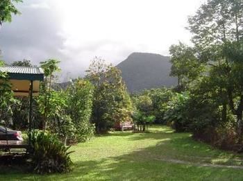 Cape Trib Farm Bed & Breakfast Cape Tribulation Bagian luar foto