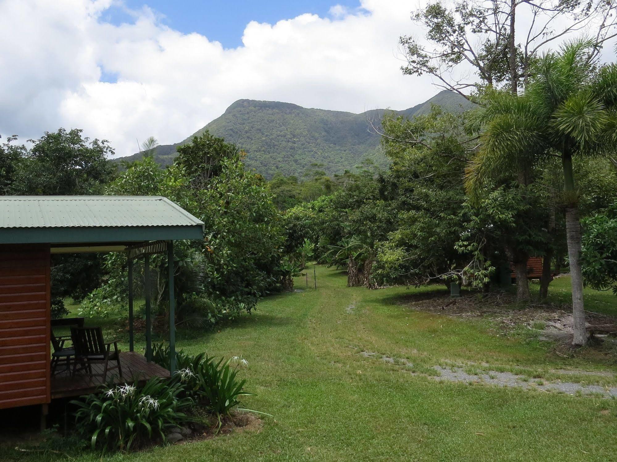 Cape Trib Farm Bed & Breakfast Cape Tribulation Bagian luar foto